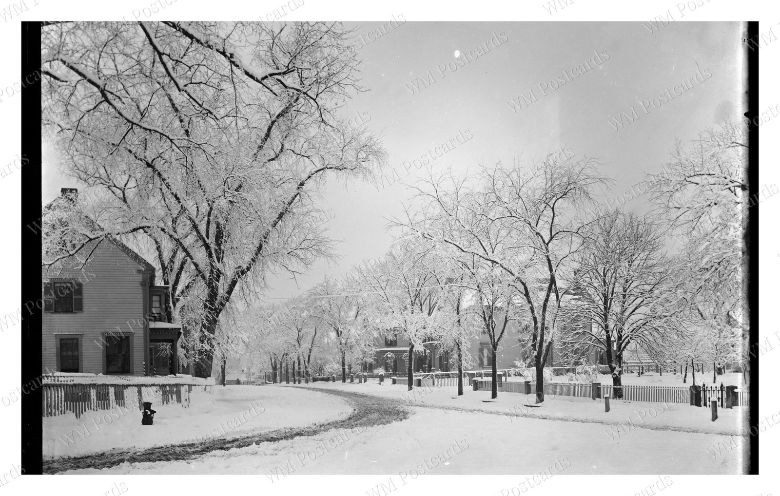 Quincy Massachusetts 1900s Snowy Tree-Lined Street Houses Standard Postcard Quincy Massachusetts 1900s Snowy Tree-Lined Street Houses Standard Postcard