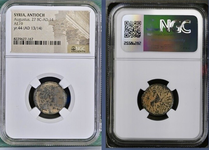 Roman Emperor Augustus 13AD-14AD Coin NGC Genuine Ancient Authentic Ram Scarce