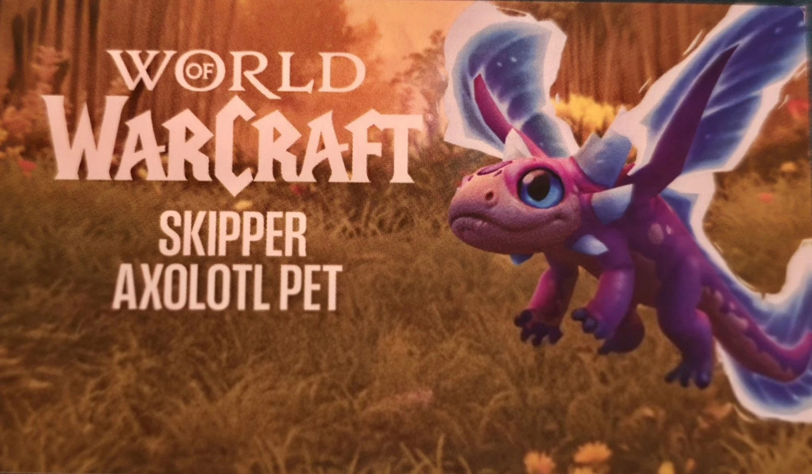 WoW Skipper Axolotl Pet Code | BlizzCon 2026 Darkmoon Faire Loot Exclusive