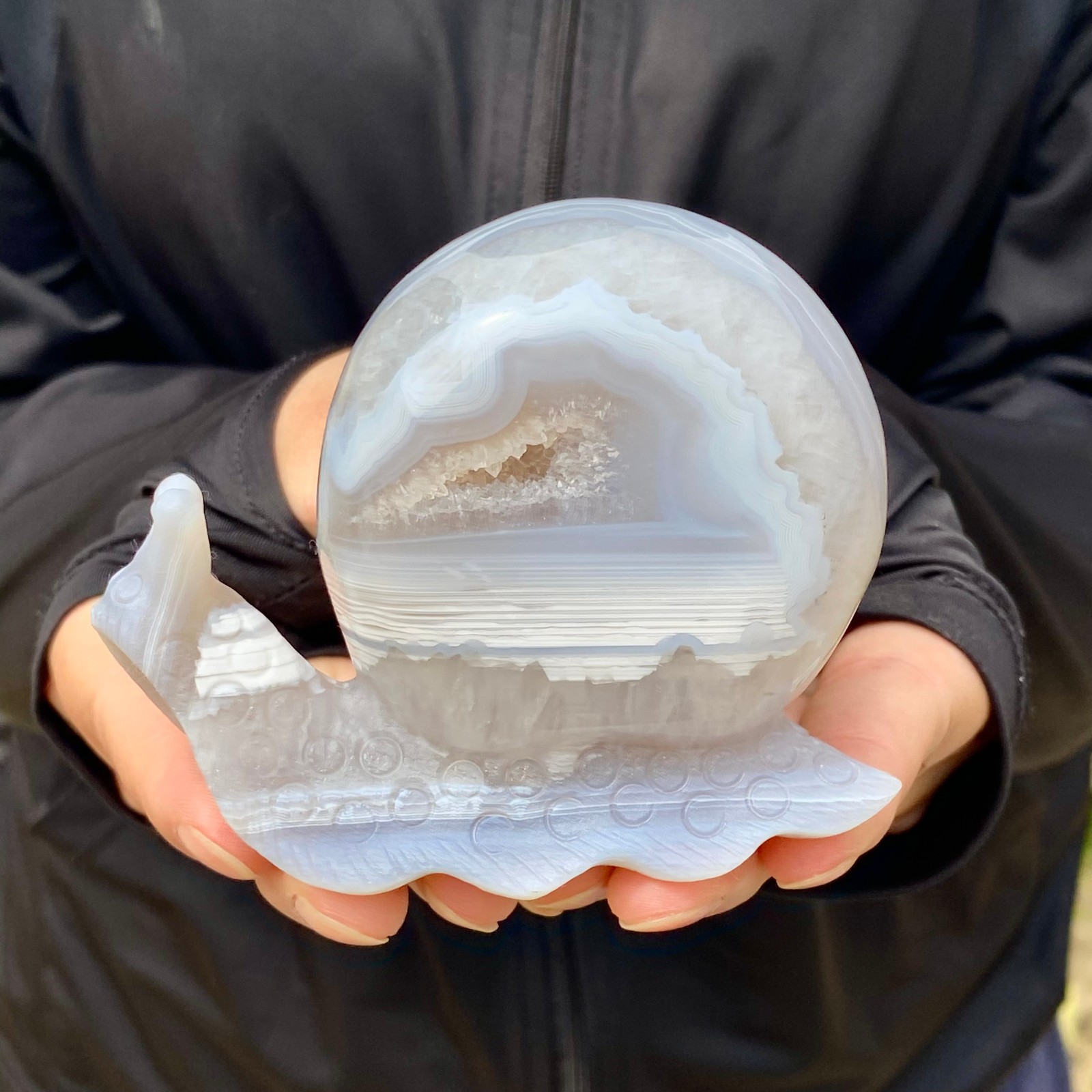 316G Natural agate geode quartz crystal engrave snail skull healing gift deco