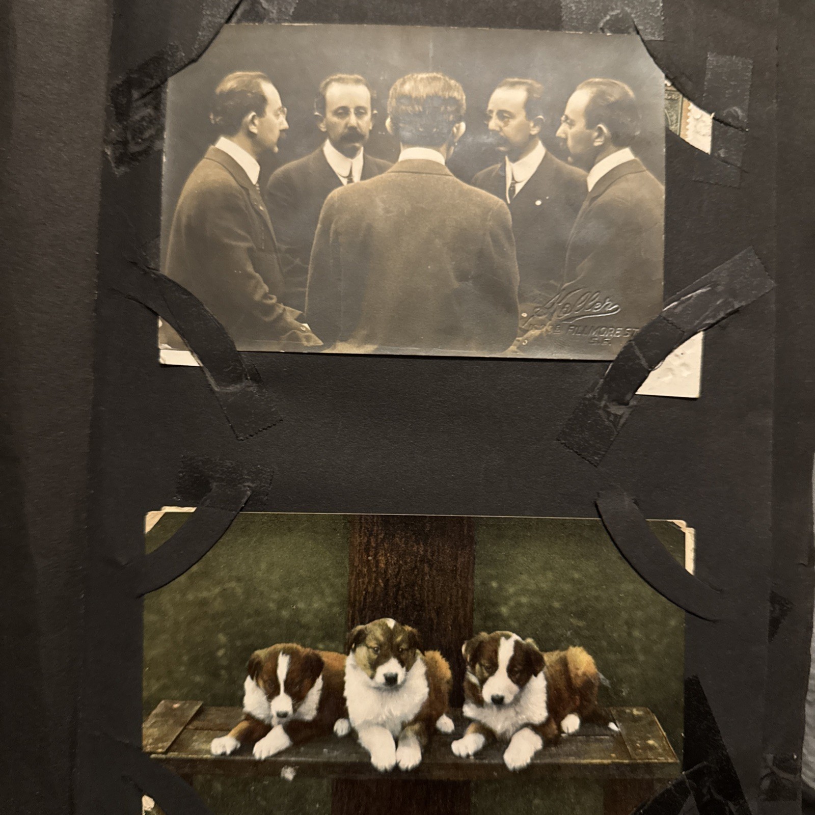 200+ Postcard Antique Album Jo Baker Strongmen Real Hair 13 Halloween Santa Dogs