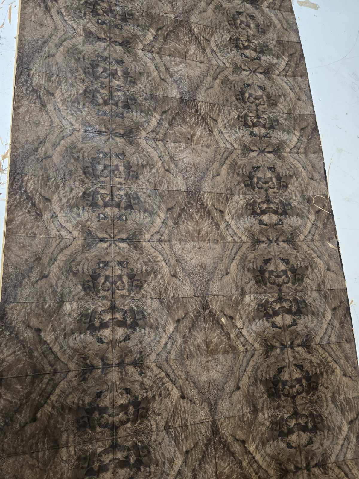 natural walnut burl wood veneer 96 x 24, pattern 4