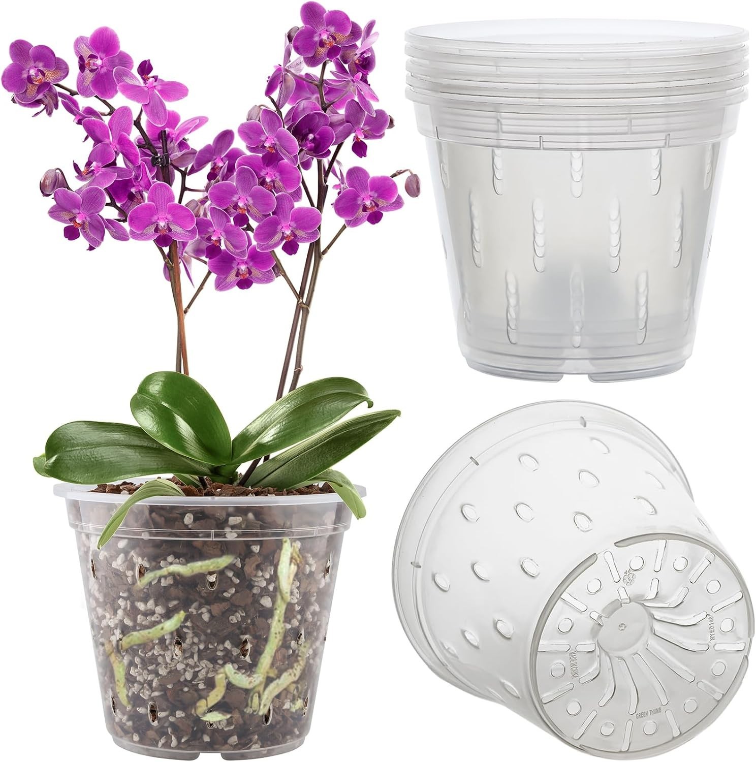 Pot, 6 Pack Pots with Holes, 5.5 Inch (6 pots), Clear Pot, 6 Pack Pots with Holes, 5.5 Inch (6 pots), Clear