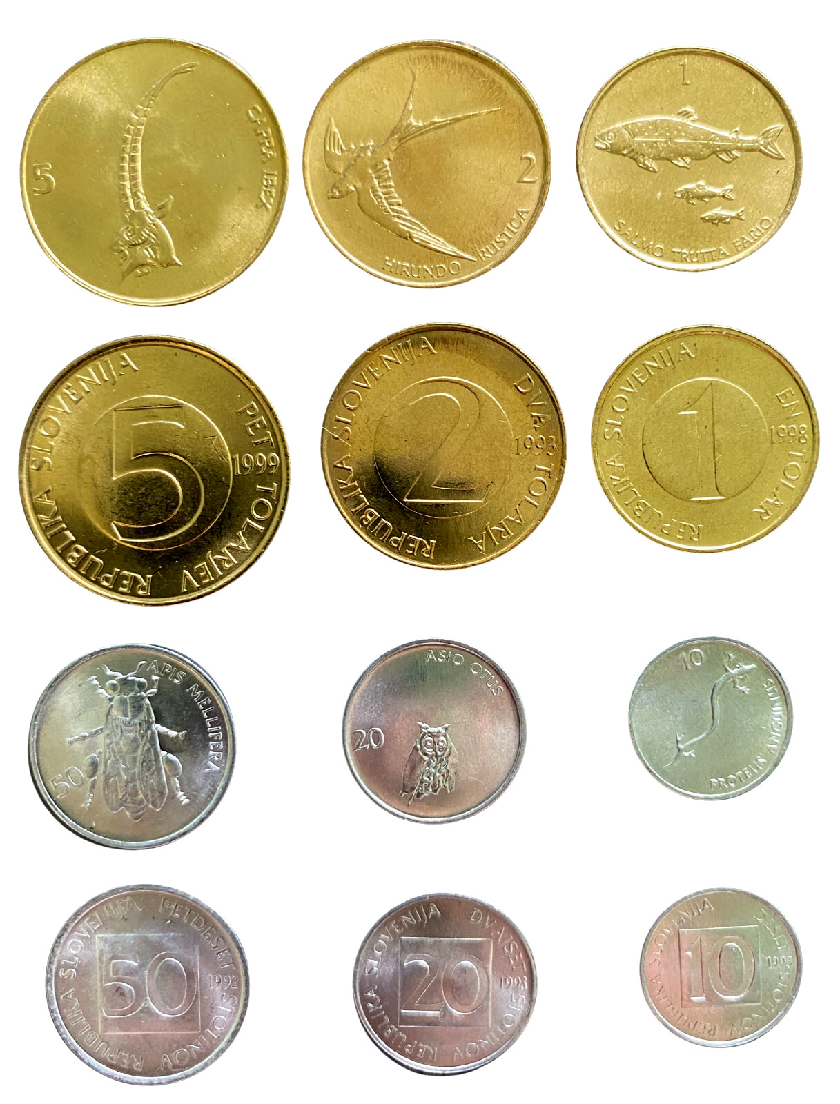Slovenia 6 Coins Set 10, 20, 50 Stotinov & 1 ,2 ,5 Tolar UNC World Coins Slovenia 6 Coins Set 10, 20, 50 Stotinov & 1 ,2 ,5 Tolar UNC World Coins
