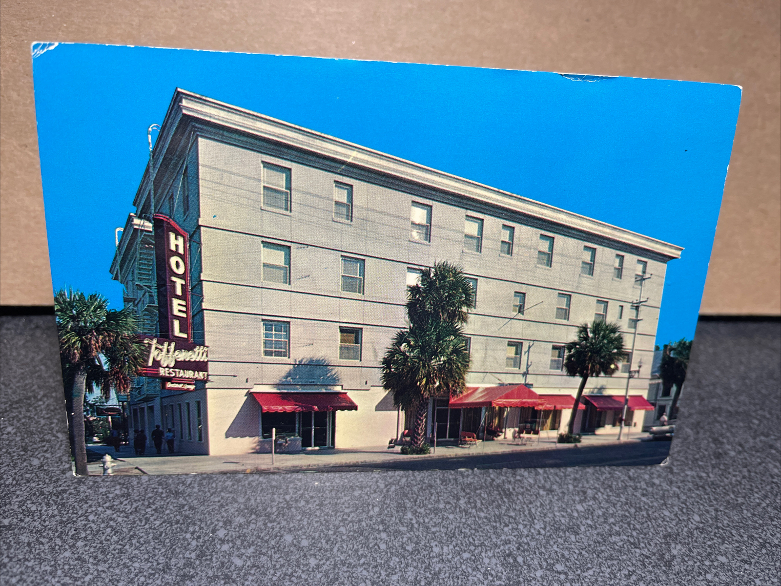 Toffenetti Hotel Saint Petersburg Florida Postcard Toffenetti Hotel Saint Petersburg Florida Postcard
