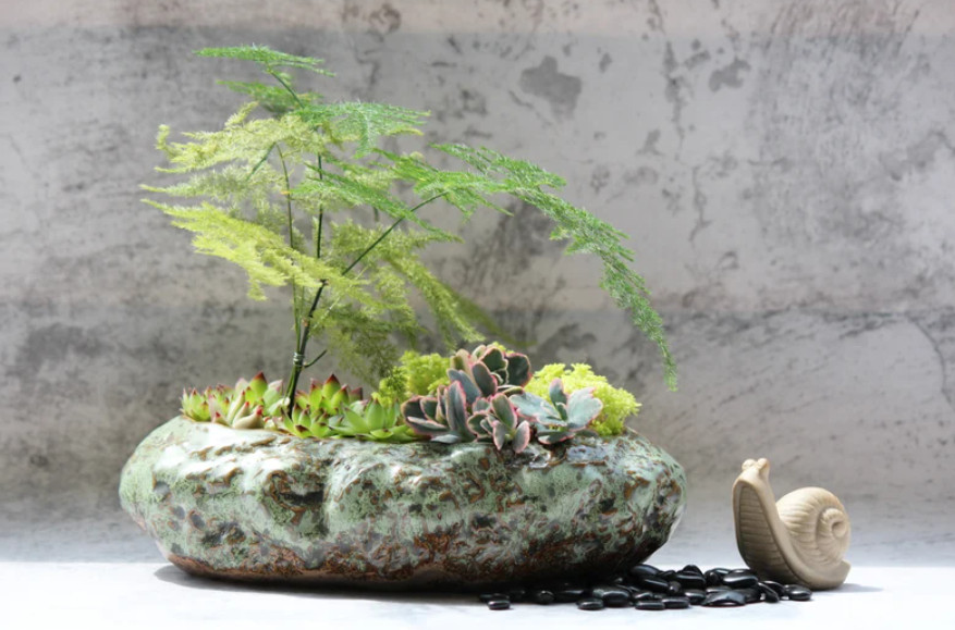 Premium Shallow Succulent Planter Pot Ceramic with Decorative Patina Glaze