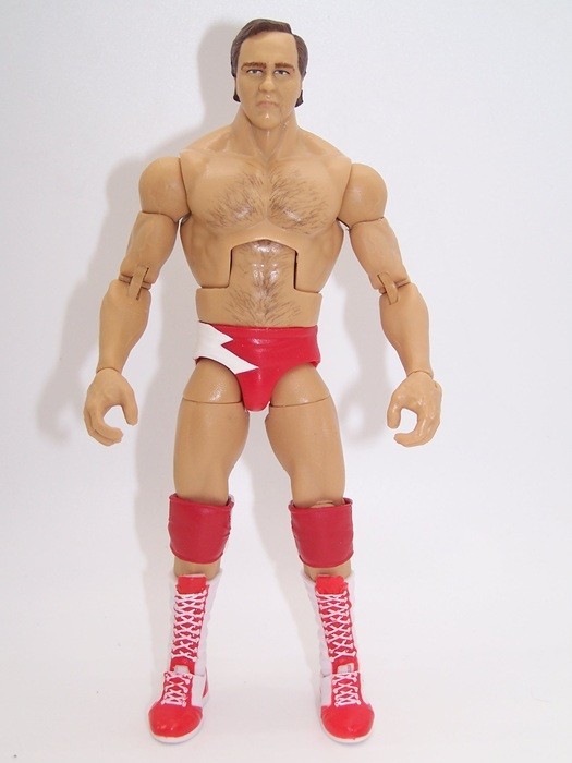 Mattel LARRY ZBYSZKO Elite CUSTOM Figure WCW ECW WWE WWF NWA Legends Ultimate