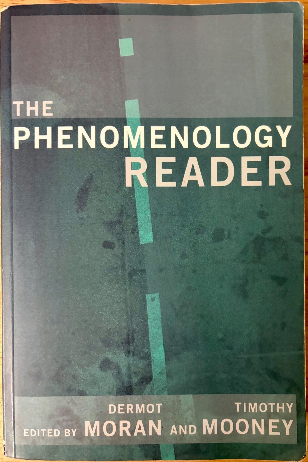 The Phenomenology Reader
