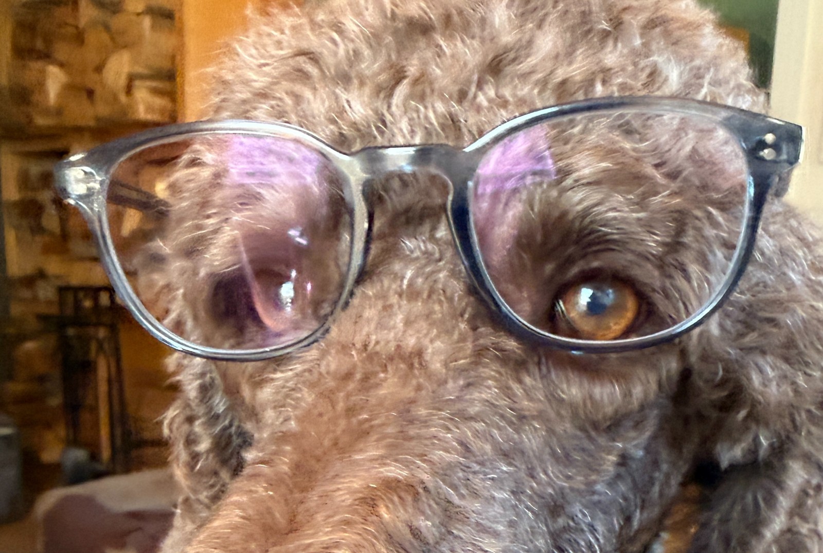 Oliver Peoples Fairmont Eyeglasses 49.21.145 Dark Blue Oliver Peoples Fairmont Eyeglasses 49.21.145 Dark Blue