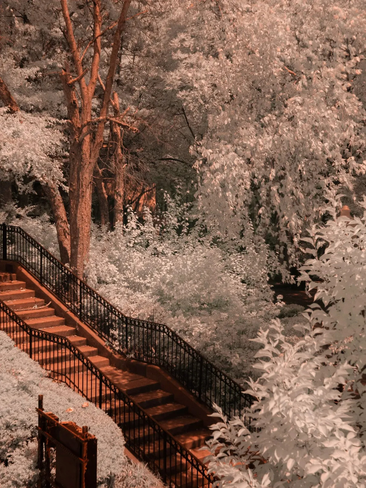 Converted Infrared Camera Nikon D70s  Full Spectrum