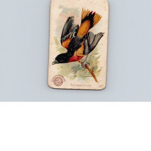 1880s-90s Arm & Hammer Beautiful Birds Baltimore Oriole No 55 1880s-90s Arm & Hammer Beautiful Birds Baltimore Oriole No 55