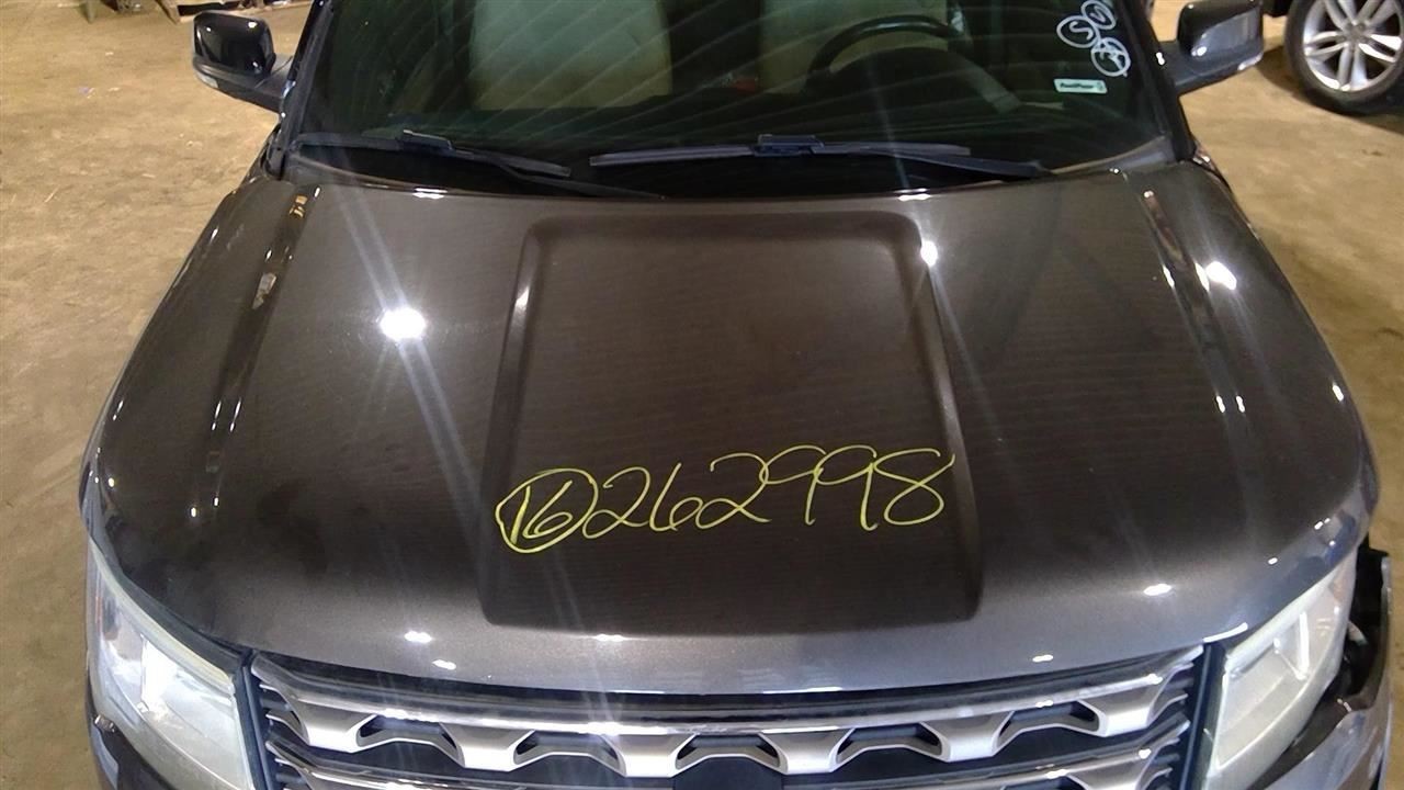 Hood Fits 16-19 EXPLORER 1005429