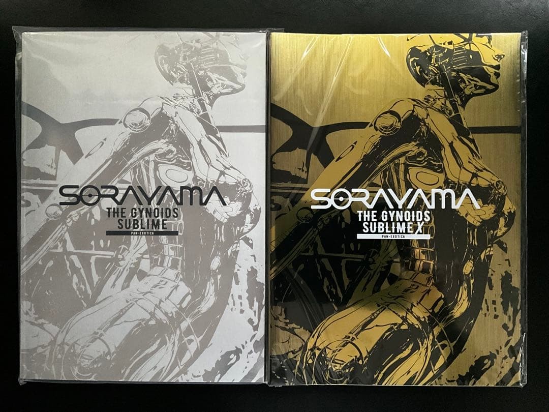 SORAYAMA THE GYNOIDS SUBLIME X Art Book Set Hajime Sorayama 2 Books Illustration