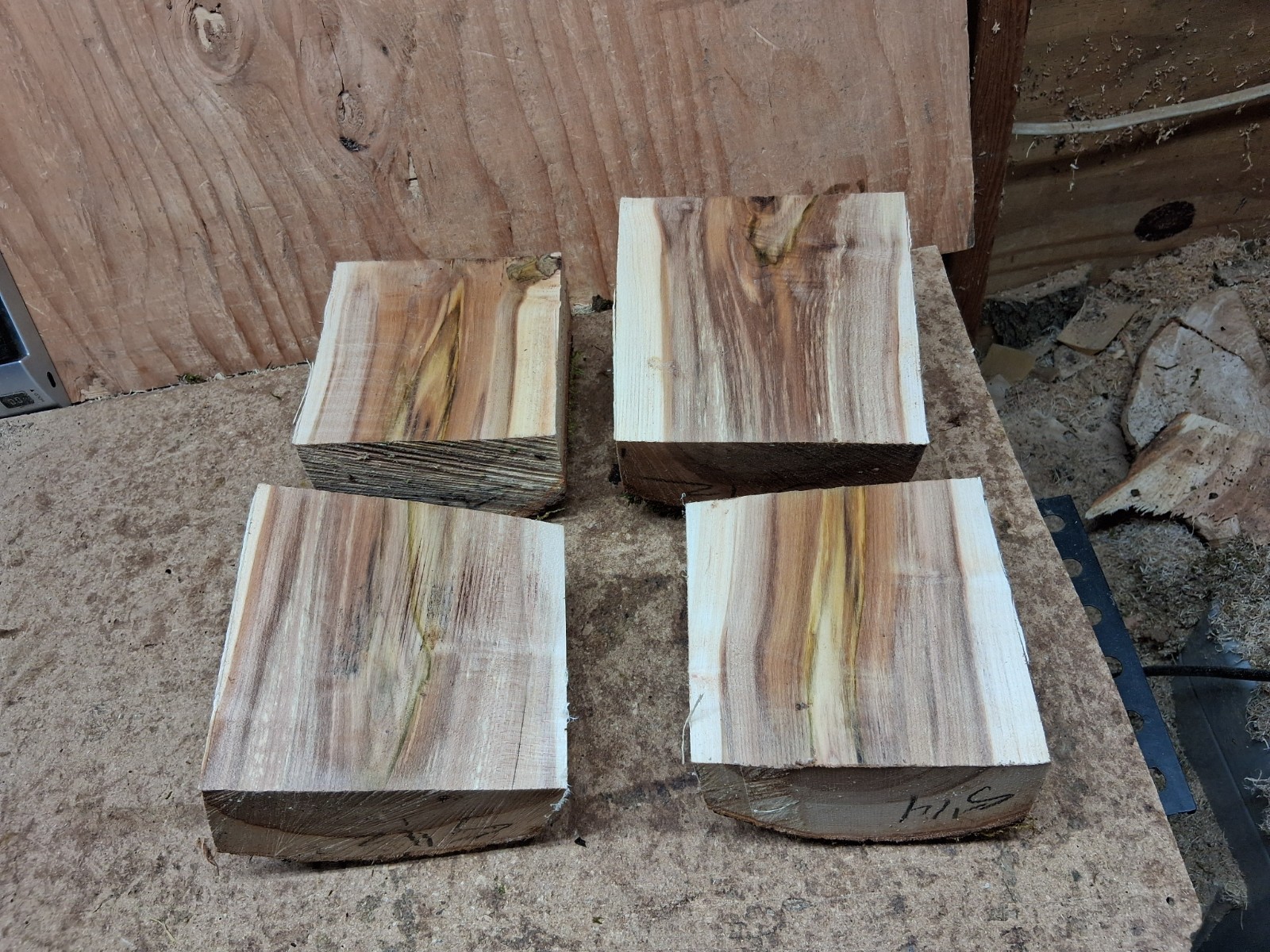 Maple Spalted Live Natural Edge Wood Turning Bowl Blanks 4ea