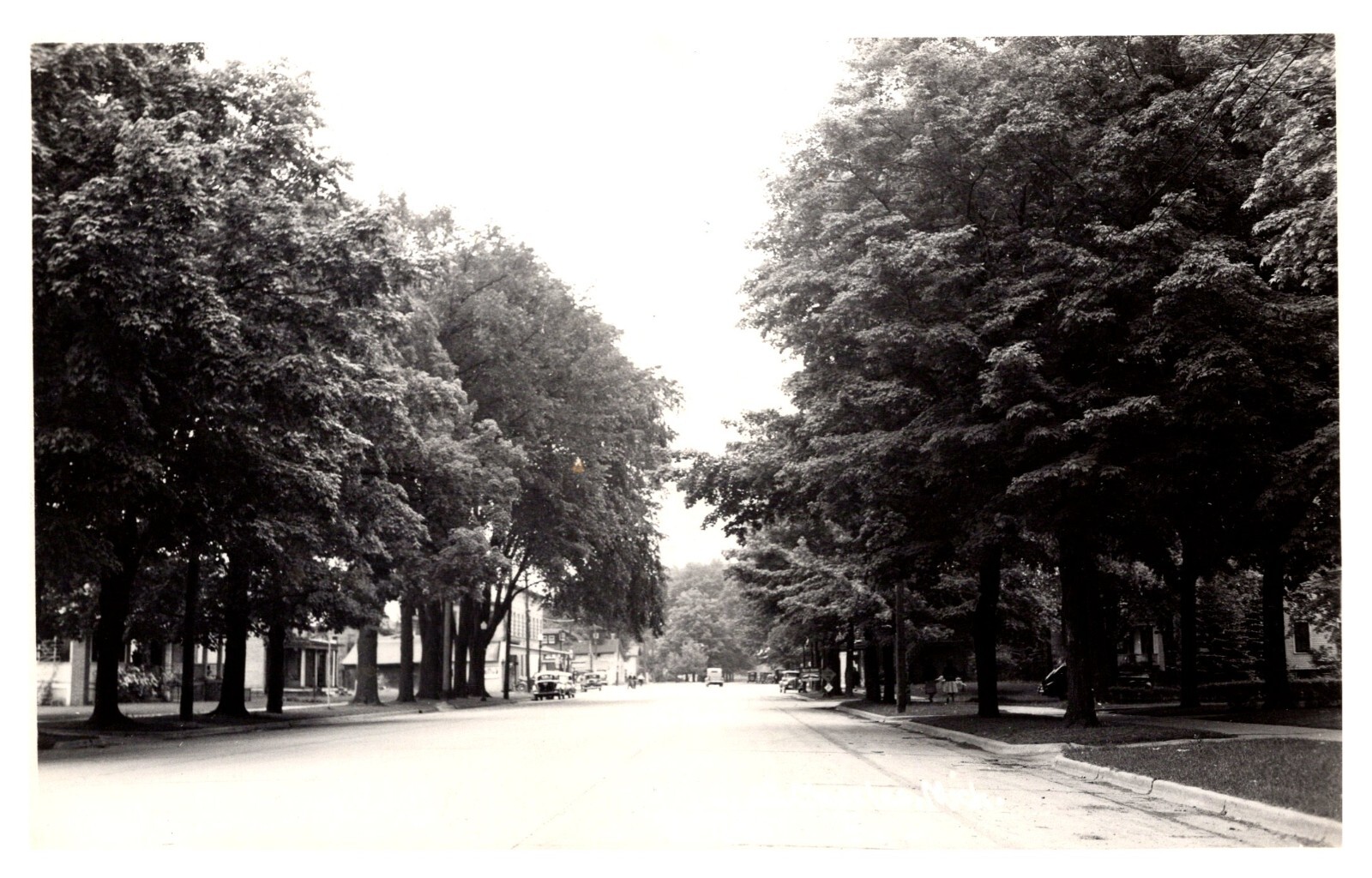 postcard Real Photo of tree-lined street with old cars on it 9972 postcard Real Photo of tree-lined street with old cars on it 9972