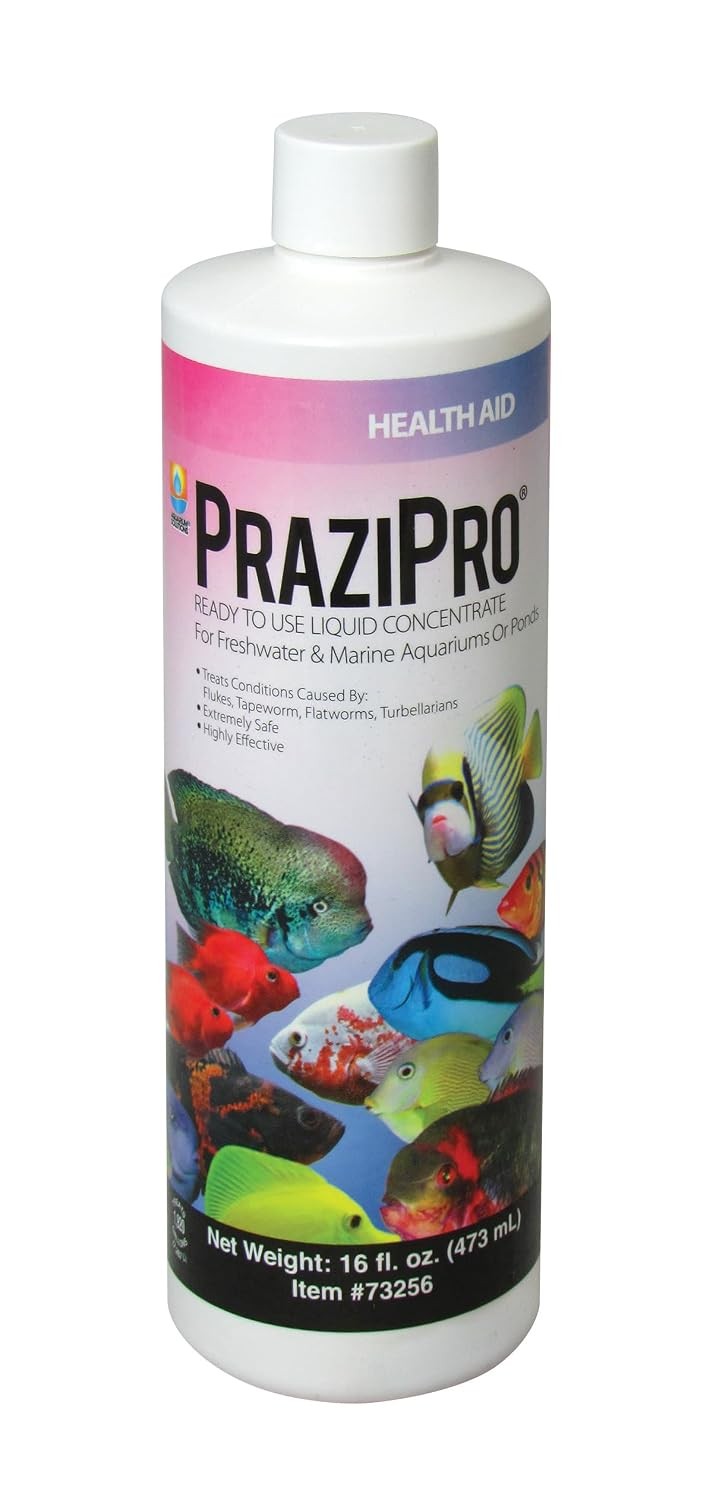 Hikari USA AHK73256 Prazipro for Aquarium, 16-Ounce