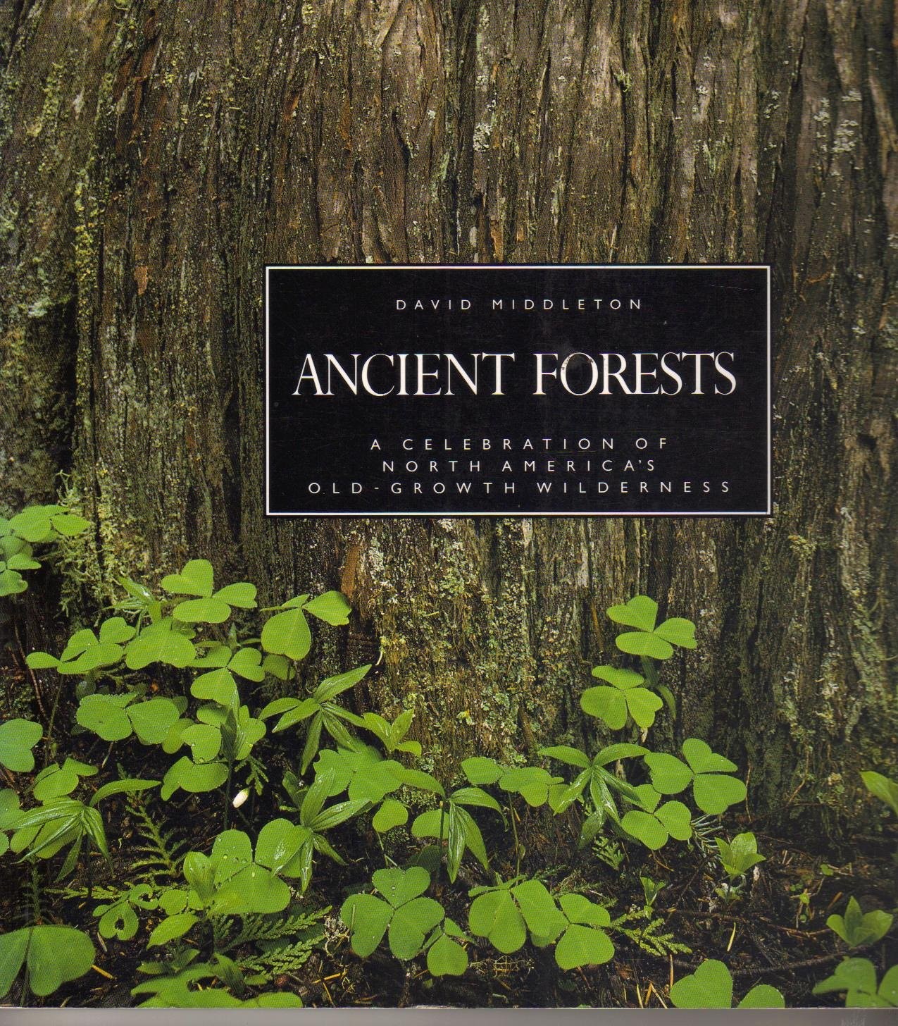Ancient Forests Ancient Forests
