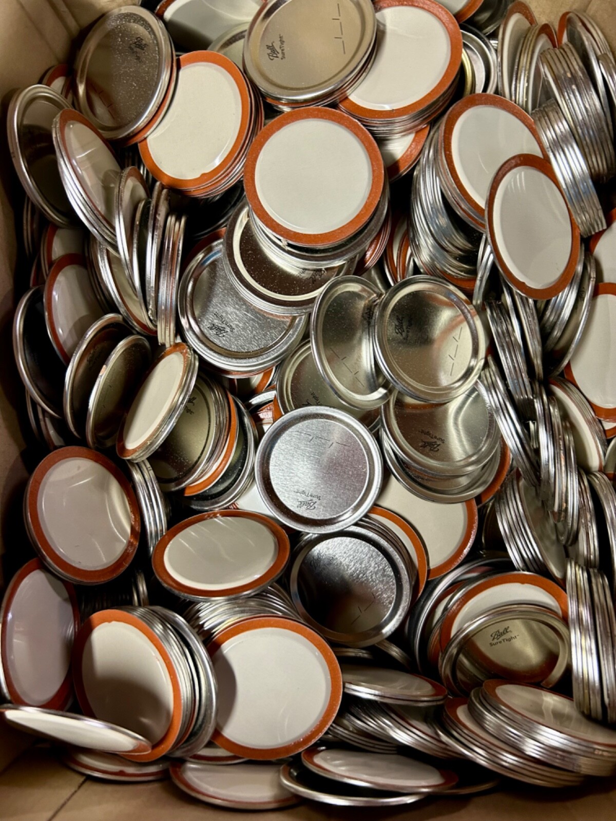 BALL Regular Mouth Jar Lids - 60 Count BALL Regular Mouth Jar Lids - 60 Count