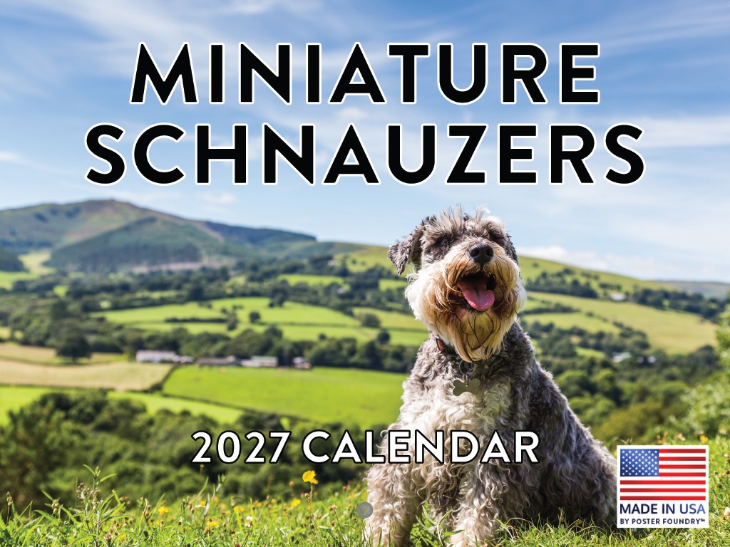 Miniature Schnauzer Calendar 2027 Monthly Wall Calender 12 Month Dog Breed Miniature Schnauzer Calendar 2027 Monthly Wall Calender 12 Month Dog Breed