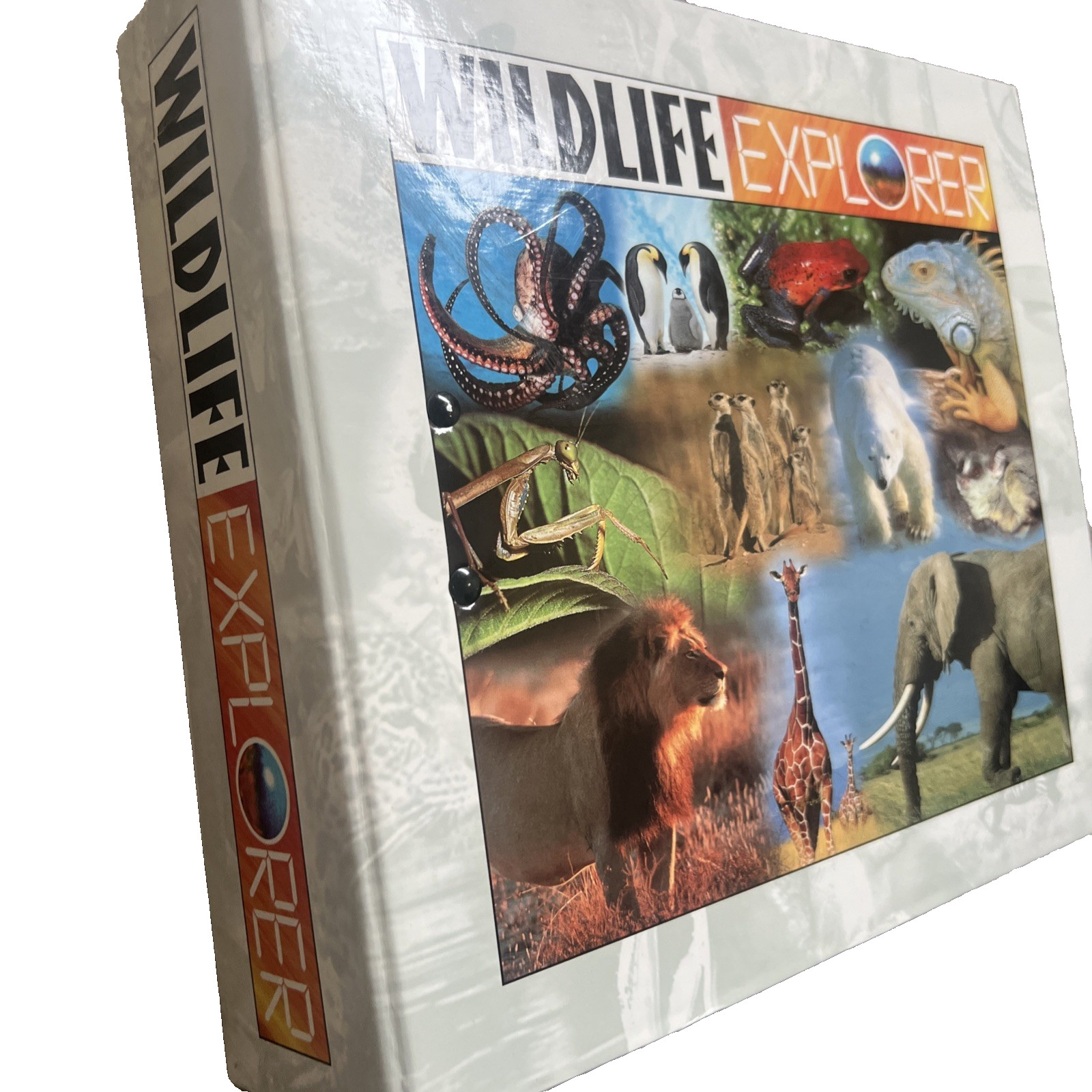 Vintage Wildlife Explorer Animal Fact Cards 3 Ring Binder Collection Groups 1-8