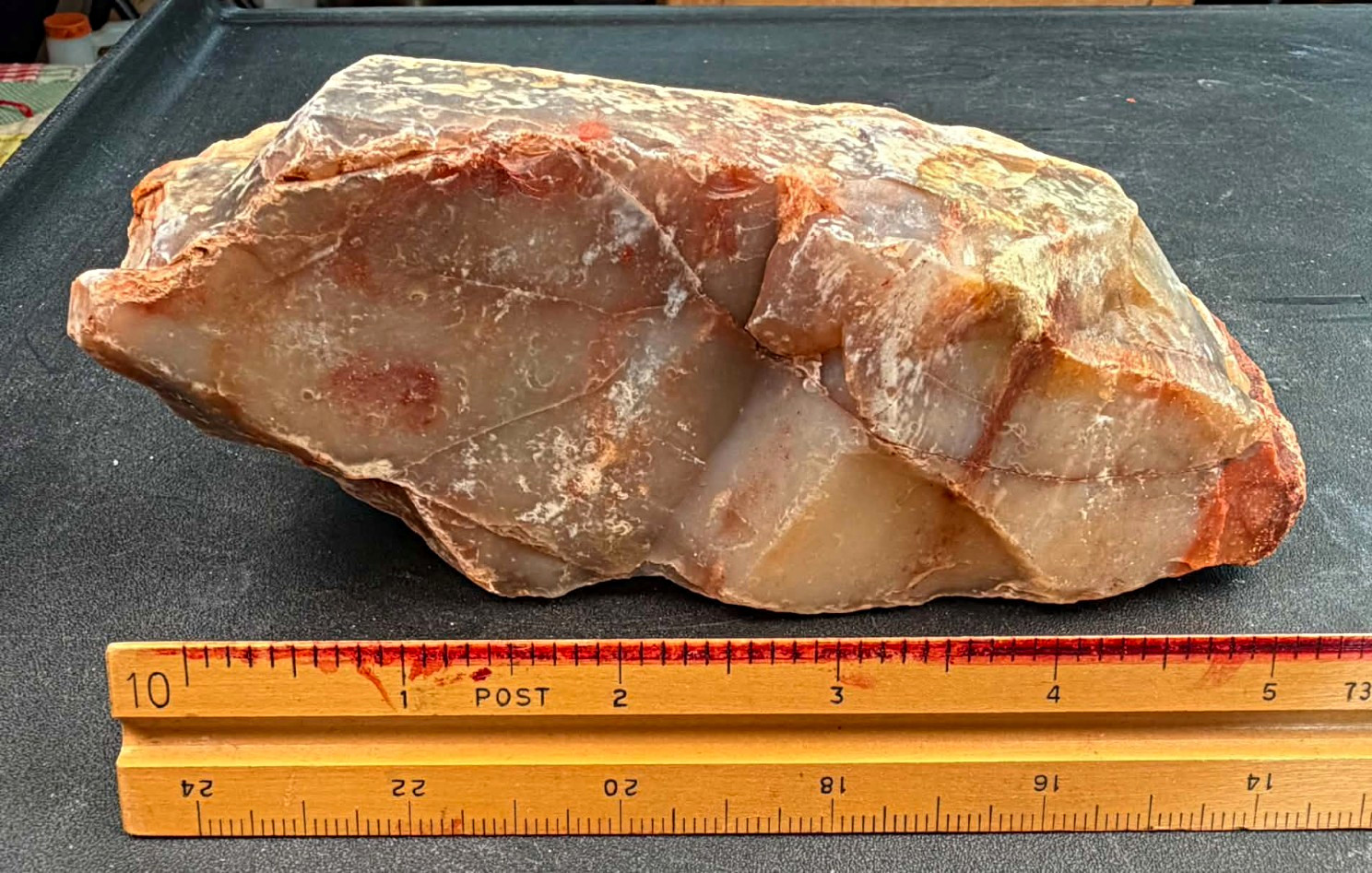 Large Opal/Agate Replaced Petrified Wood Arizona 2lb 2oz