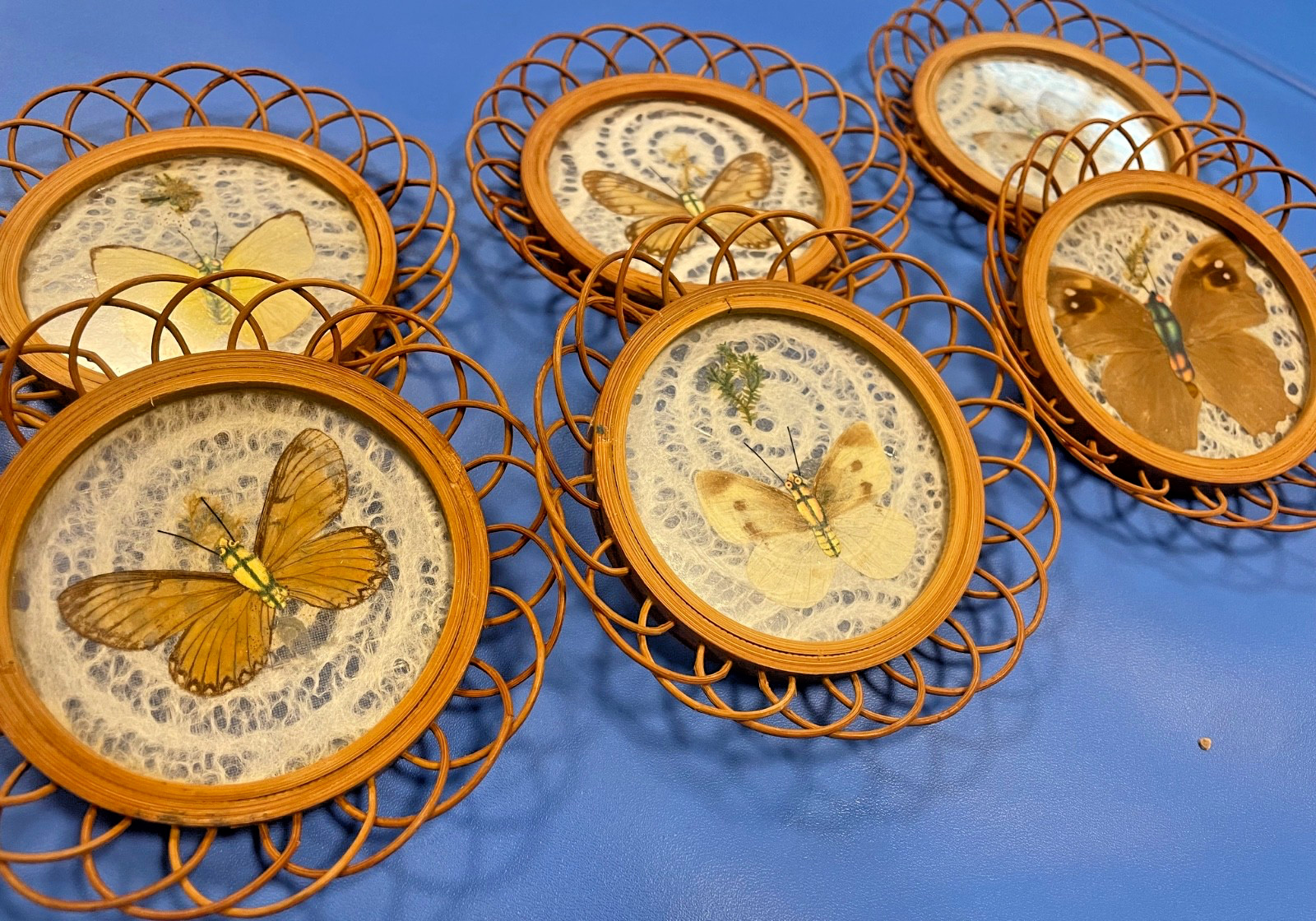 Vintage 1970s Preserved Butterfly Rattan & Glass Coasters Set 6 Vintage 1970s Preserved Butterfly Rattan & Glass Coasters Set 6