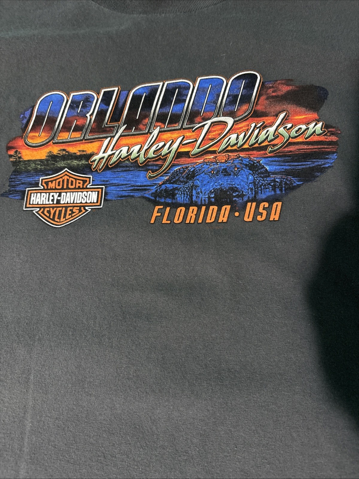 VINTAGE Harley Davidson Shirt Orlando Florida Bike Week Gator Motorcycle Gray XL