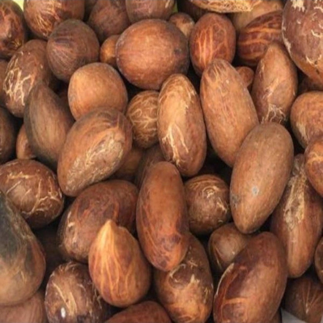 Bitter Kola Nuts –Garcinia Kola –6 Whole African Bitter Kola Nuts –Fresh Orogbo