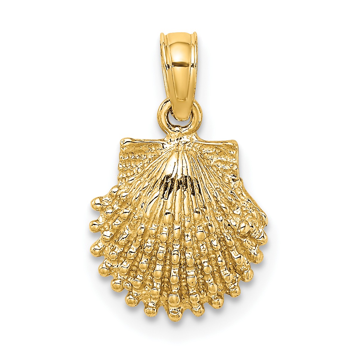 Scallop Shell Pendant Charm 16x10.7mm 14k Yellow Gold Nautical Textured Solid