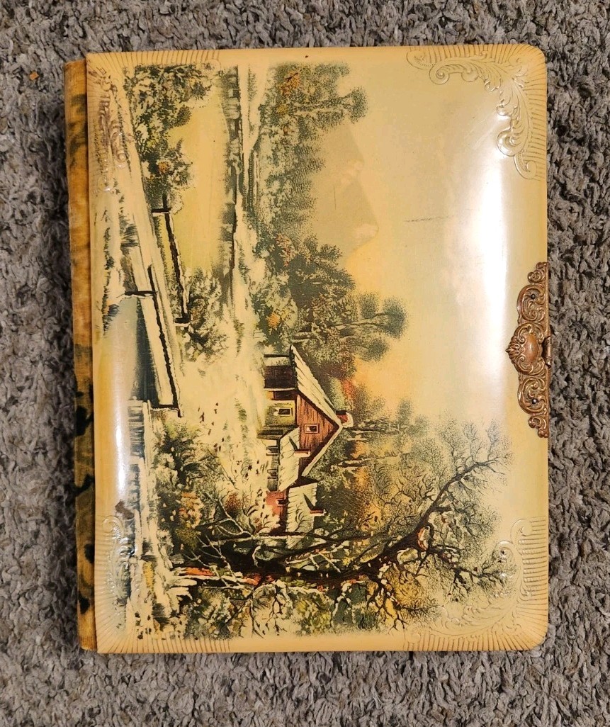 ANTIQUE VICTORIAN CELLULOID VELVET PHOTO ALBUM