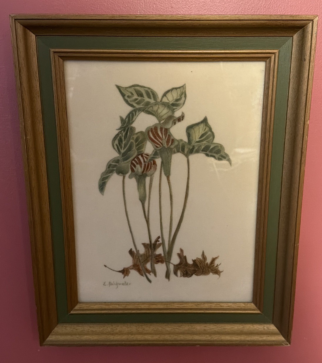 Rare Antique Early American Folk Art Theorem on Velvet Jack-In-the Pulpit Signed Rare Antique Early American Folk Art Theorem on Velvet Jack-In-the Pulpit Signed