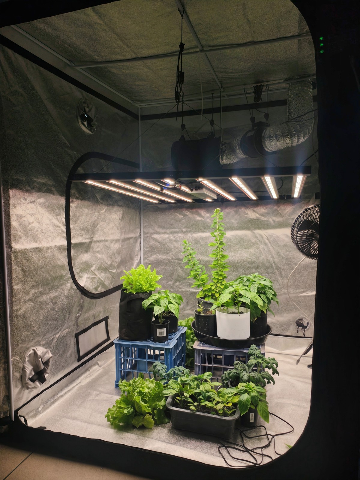 4x4x7 48'x48'x78' complete grow tent kit 640W Light & all filtration accessories 4x4x7 48'x48'x78' complete grow tent kit 640W Light & all filtration accessories