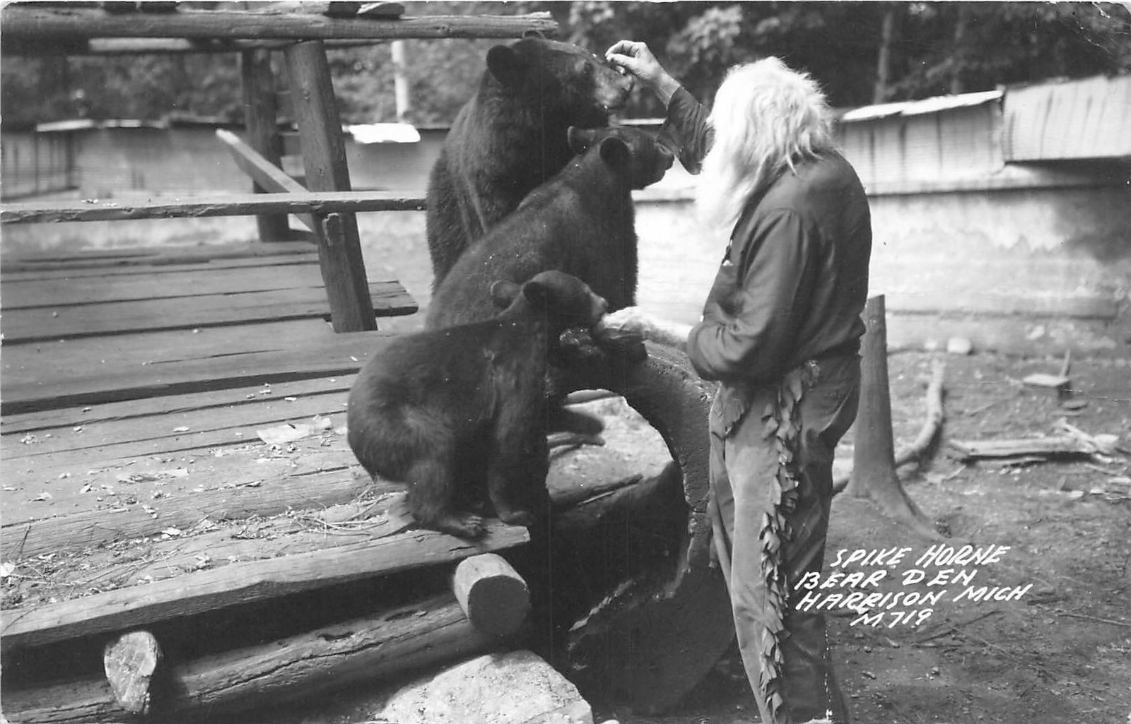 H32/ Harrison Michigan RPPC Postcard c40s Spikehorn Black Bear Den Feed 20 H32/ Harrison Michigan RPPC Postcard c40s Spikehorn Black Bear Den Feed 20