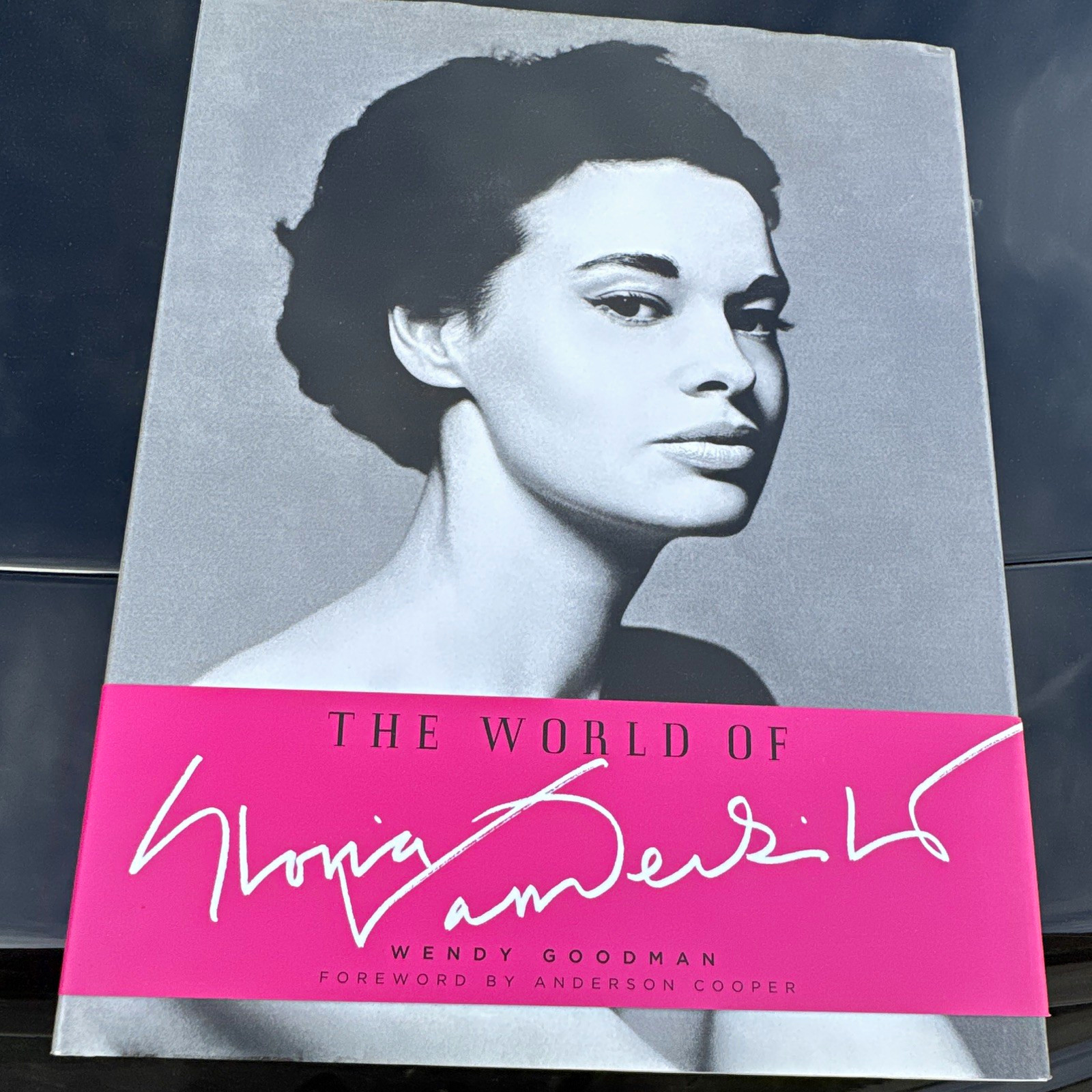 The World of Gloria Vanderbilt Hardcover Wendy Goodman 2010 Illus DJ