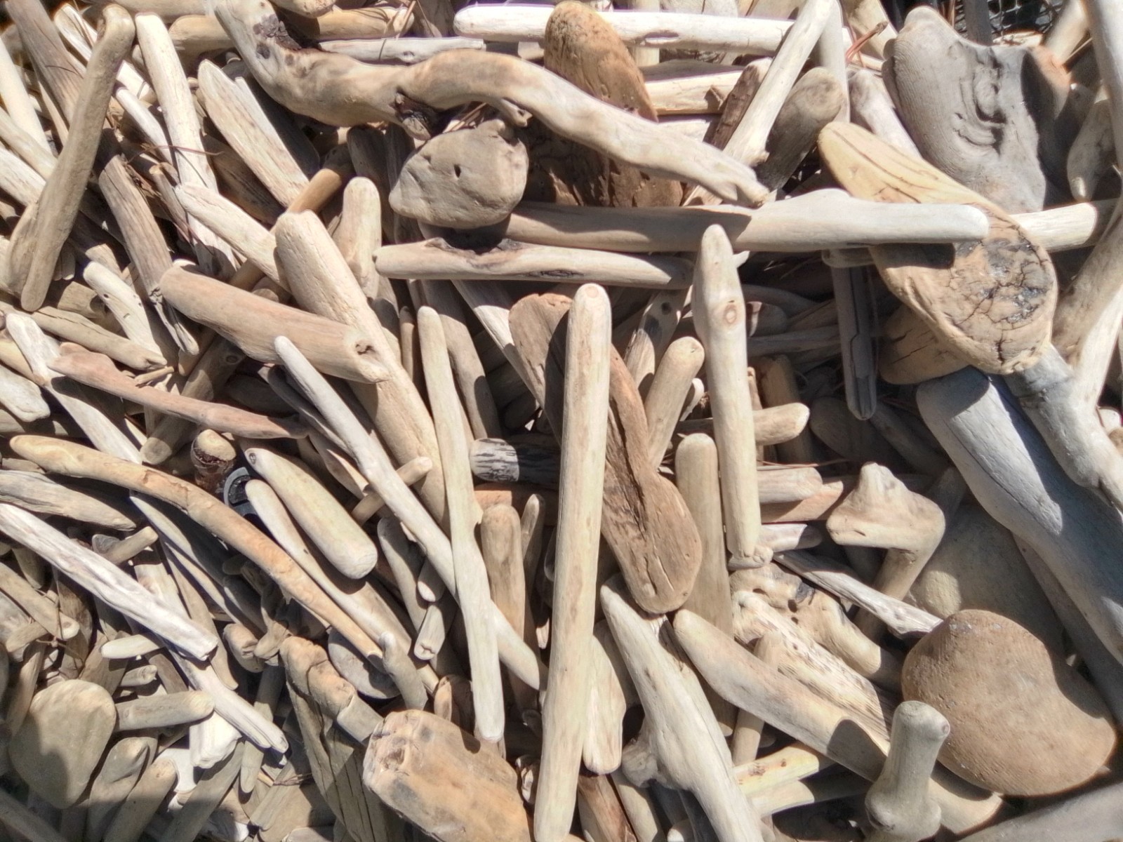 250+ Small Driftwood Pieces: 4-8\