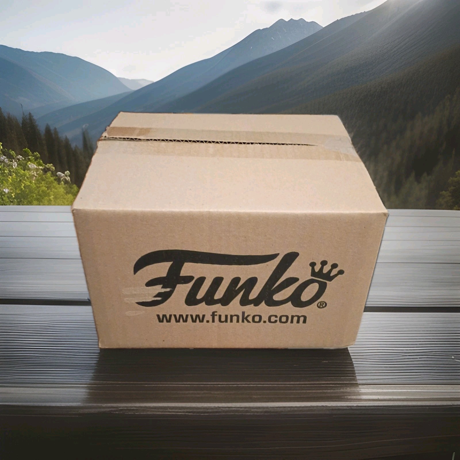 Funko Pop Mystery Box Funko Pop Mystery Box