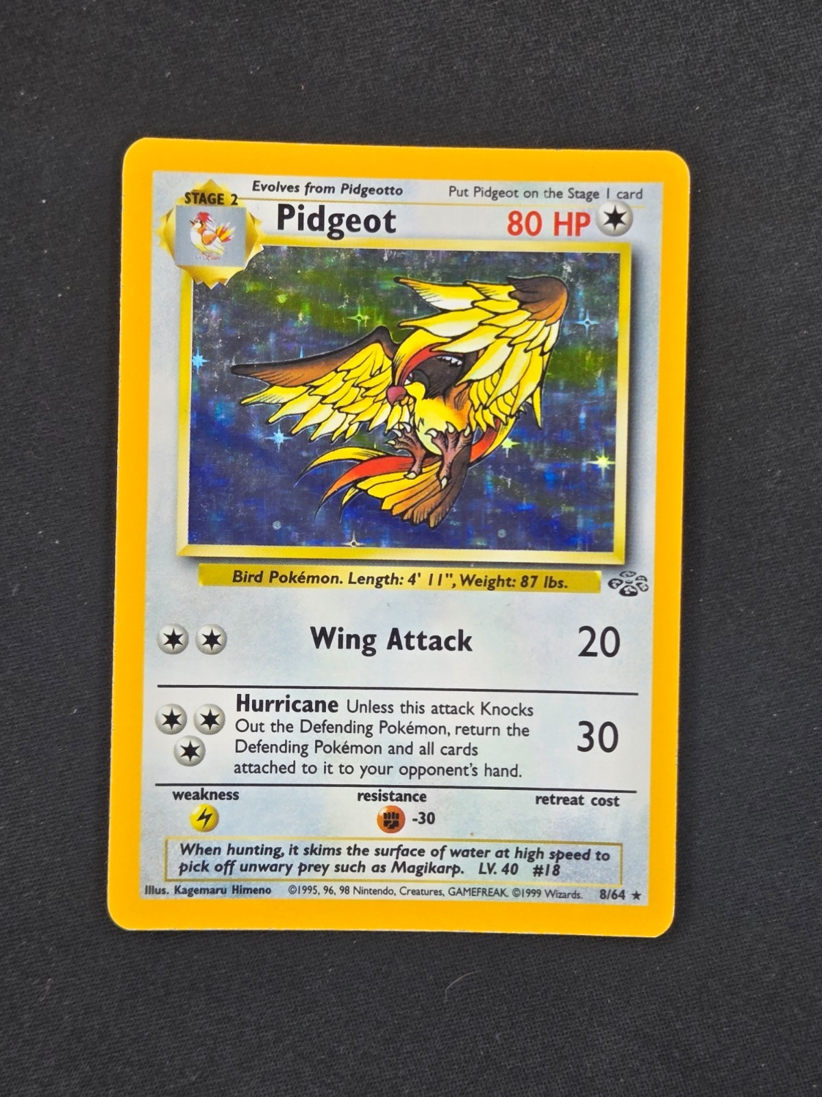 Pidgeot Jungle #8 Excellent Pidgeot Jungle #8 Excellent