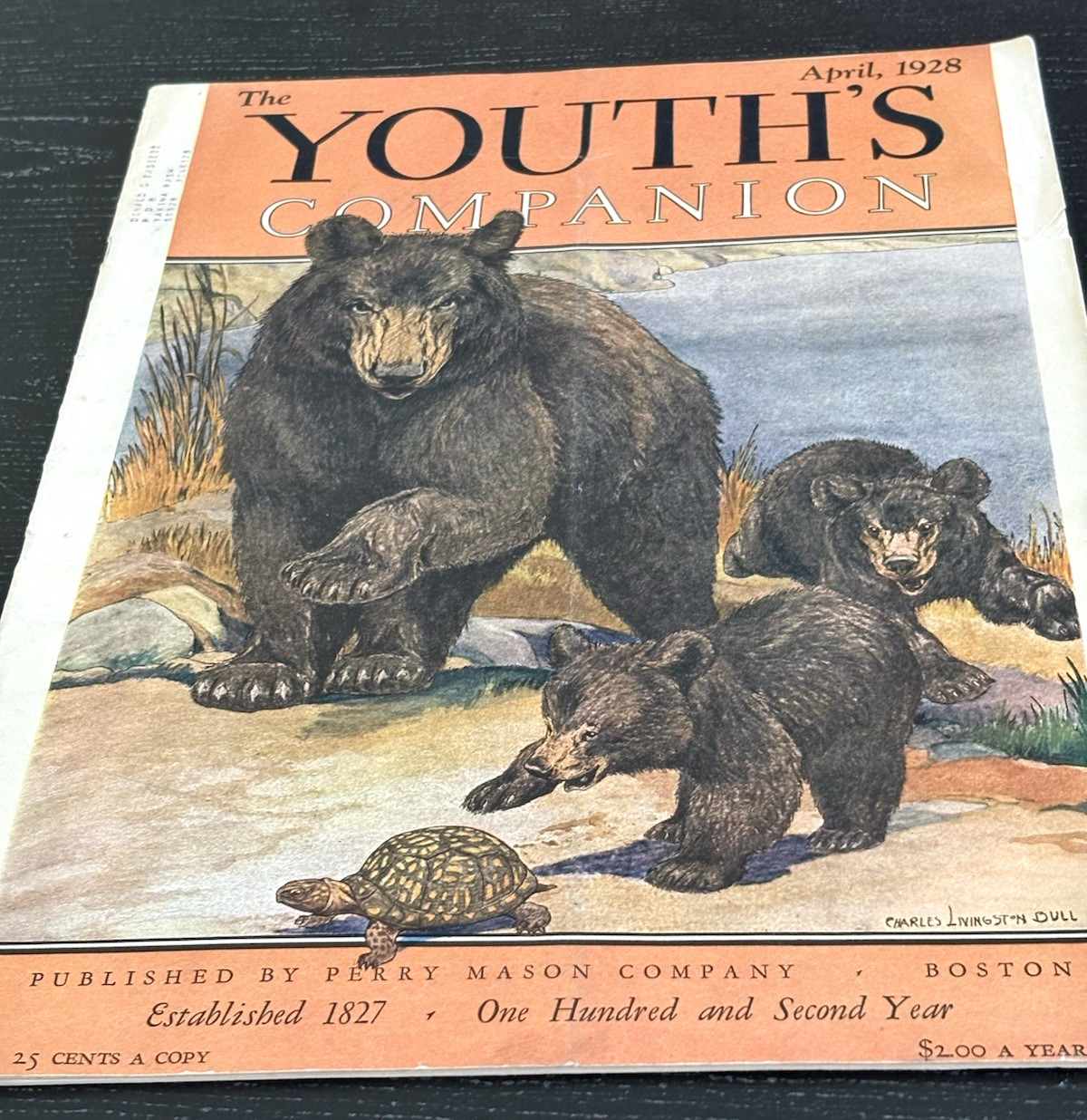 1928 April THE YOUTH\'S COMPANION MAGAZINE - GREAT Bear, Cubs & Turtle COVER 1928 April THE YOUTH\'S COMPANION MAGAZINE - GREAT Bear, Cubs & Turtle COVER