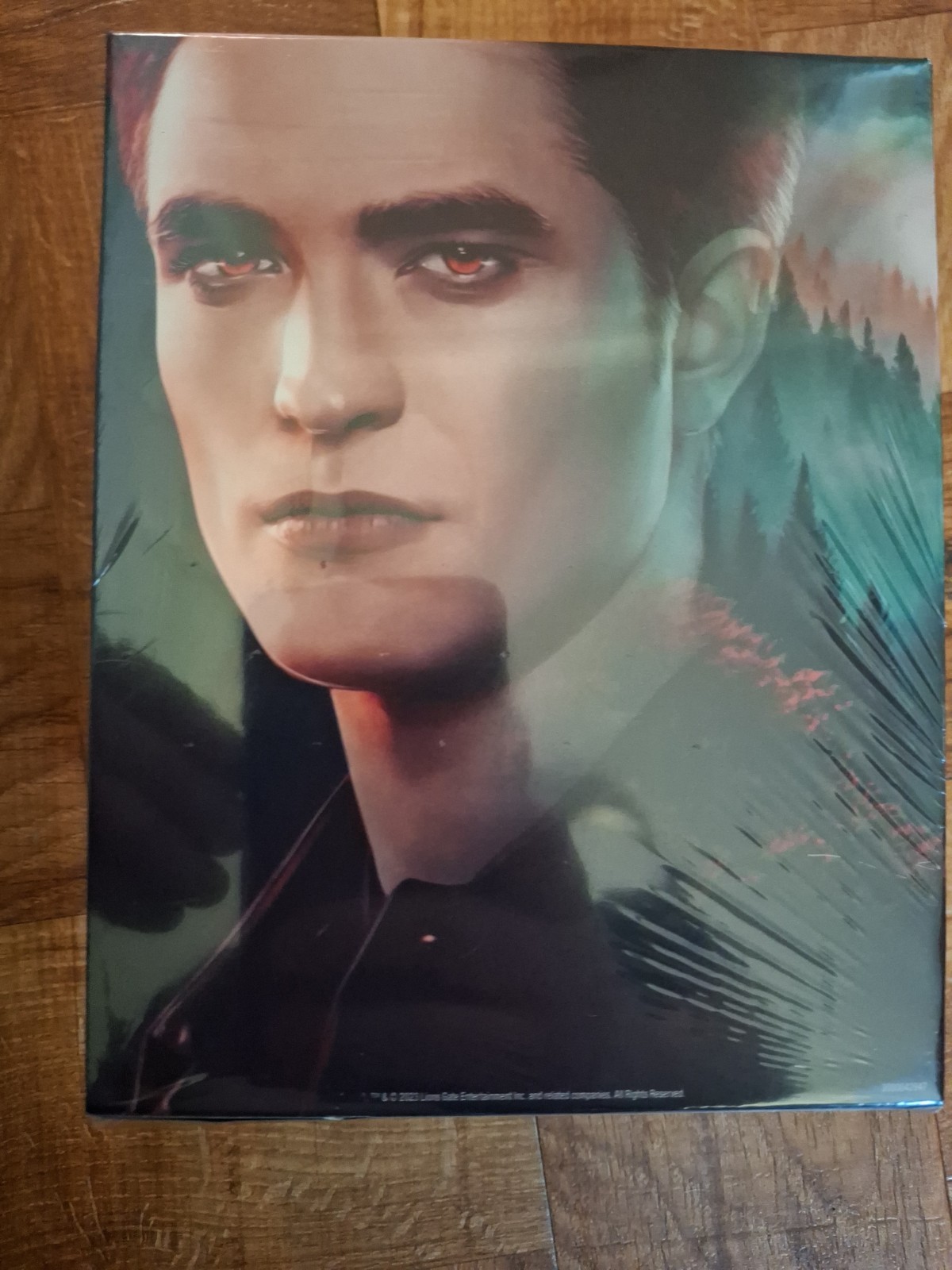 THE TWILIGHT SAGA: THE COMPLETE COLLECTION 4K 5-FILM STEELBOOK® SET THE TWILIGHT SAGA: THE COMPLETE COLLECTION 4K 5-FILM STEELBOOK® SET