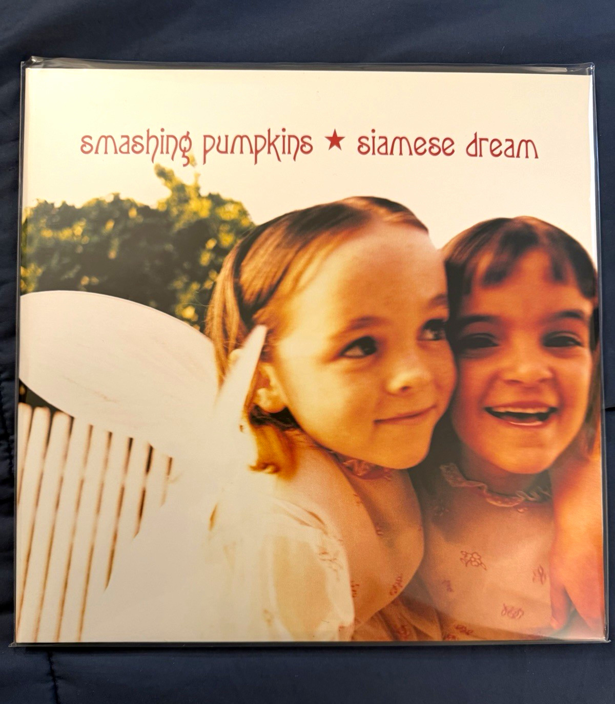 Smashing Pumpkins Siamese Dream Virgin 12 Smashing Pumpkins Siamese Dream Virgin 12
