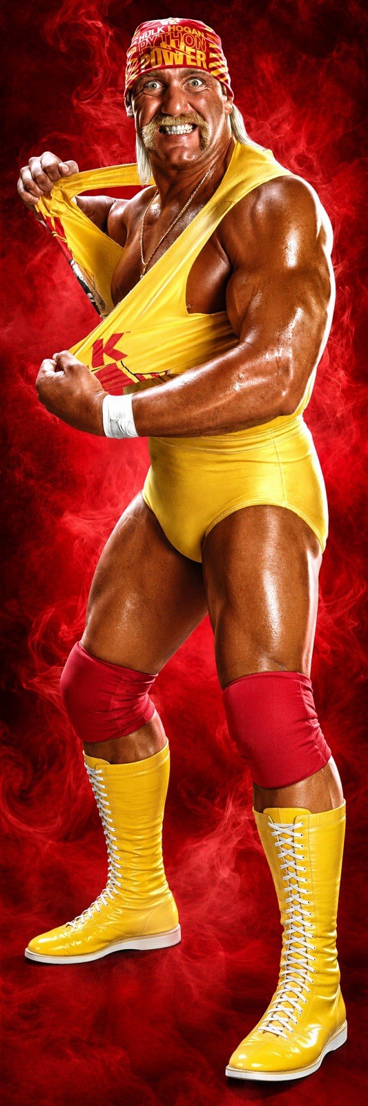 WWE GIANT 2’X6’ VINYL BANNER - HULK HOGAN WWE GIANT 2’X6’ VINYL BANNER - HULK HOGAN