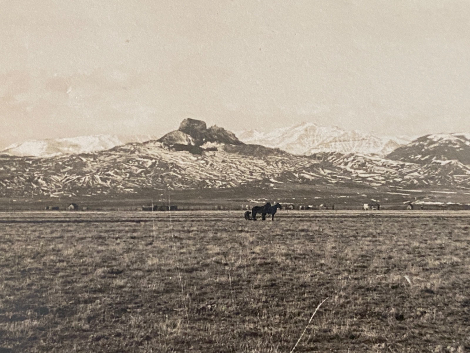 1910s RPPC POWELL, WYOMING - HEART MOUNTAIN old real photo postcard HOMESTEADING 1910s RPPC POWELL, WYOMING - HEART MOUNTAIN old real photo postcard HOMESTEADING
