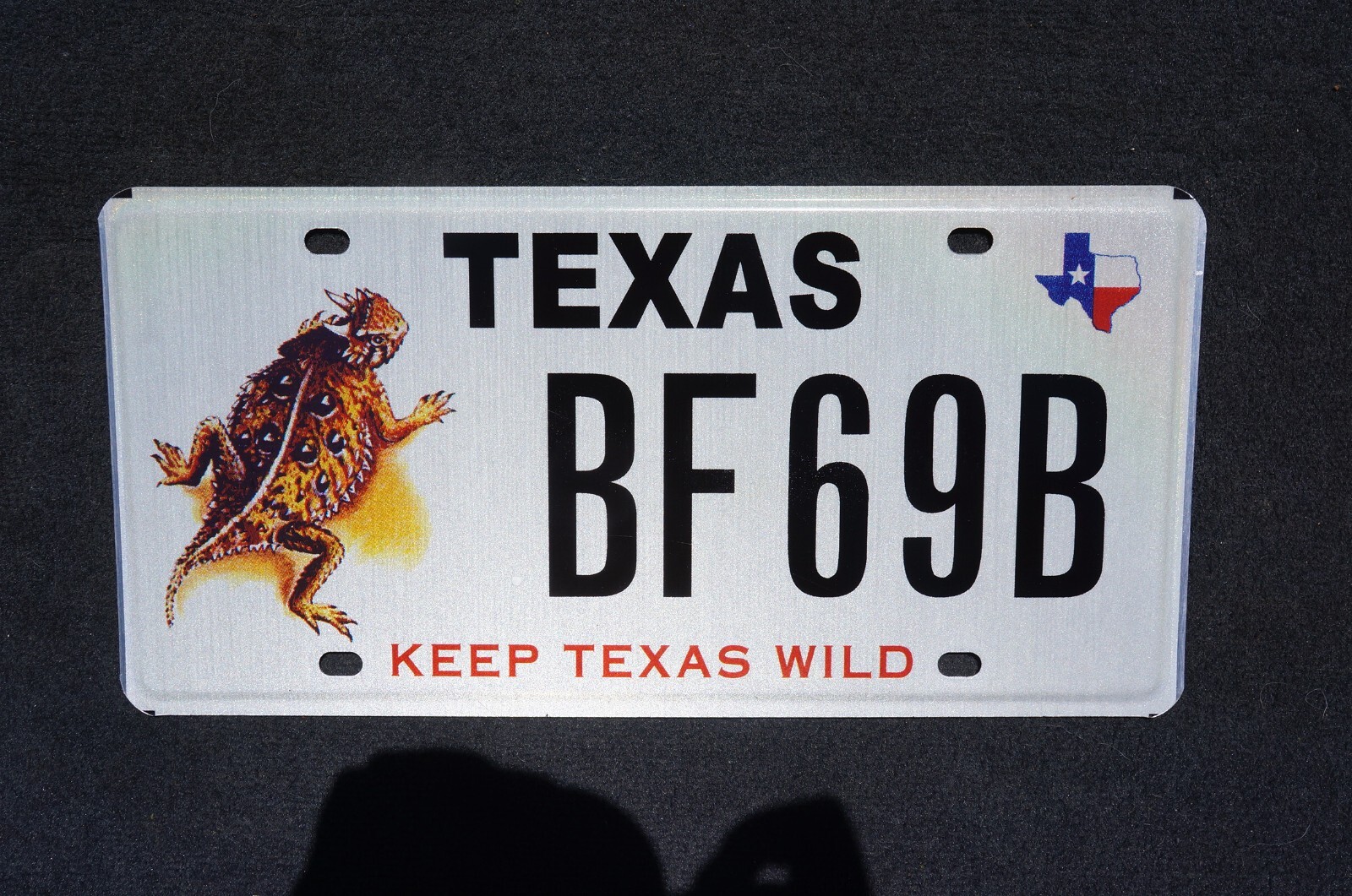 Texas KEEP TEXAS WILD Graphic License Plate - HORNY TOAD - LIZARD