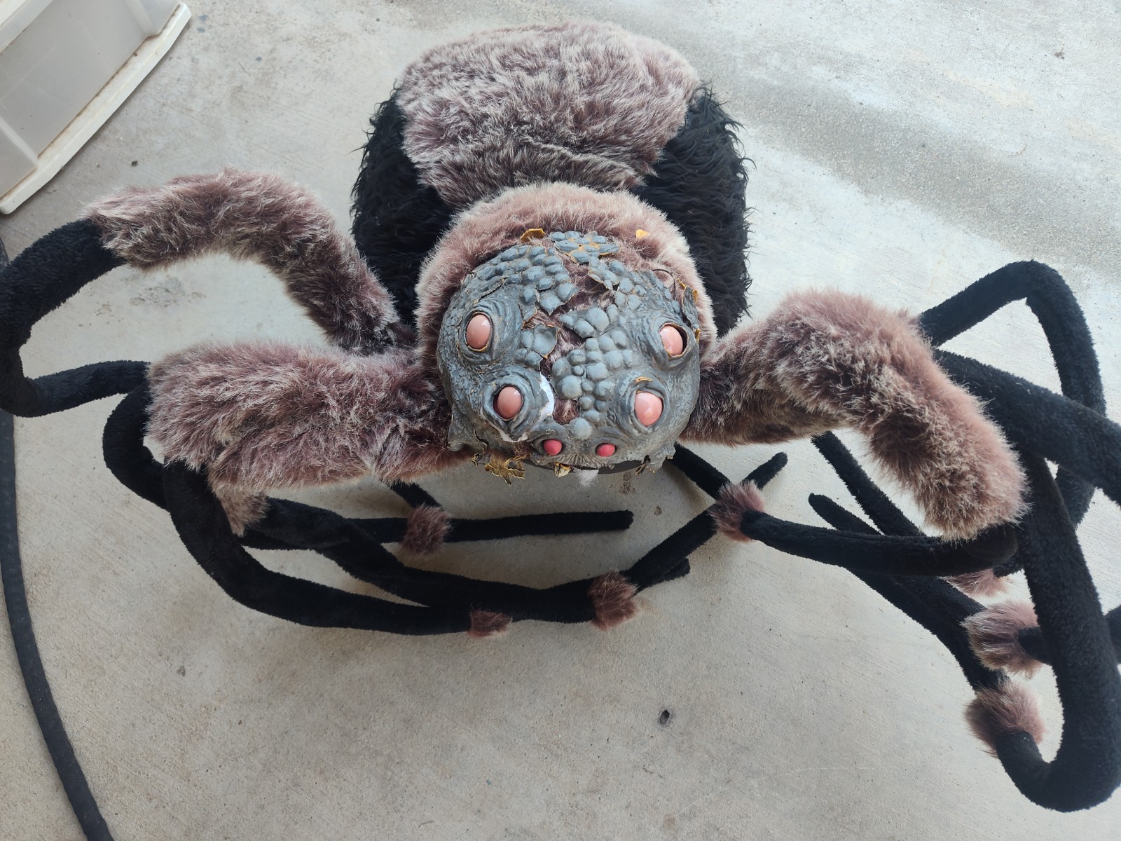 Costco 4.5ft Halloween Giant Spider Decor Prop As-Is Untested 2015 Rare Huge Costco 4.5ft Halloween Giant Spider Decor Prop As-Is Untested 2015 Rare Huge