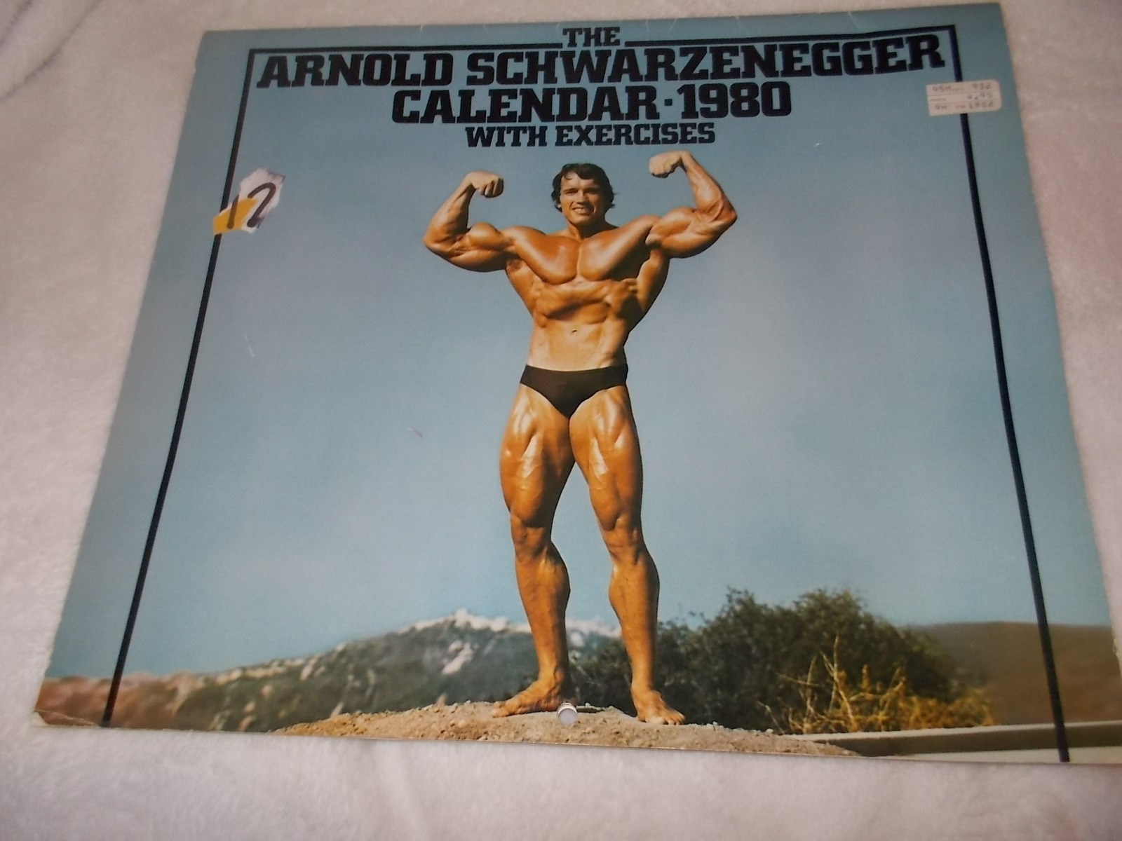 Vintage Arnold Schwarzenegger Wall Calendar Brown & Bigelow Bodybuilding Fitness