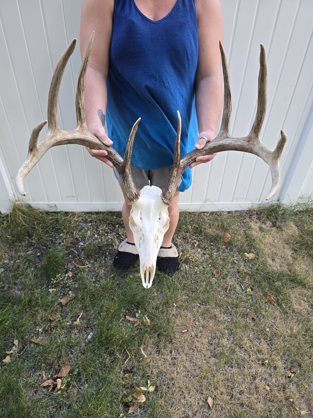 Wild 10 point 177-1\