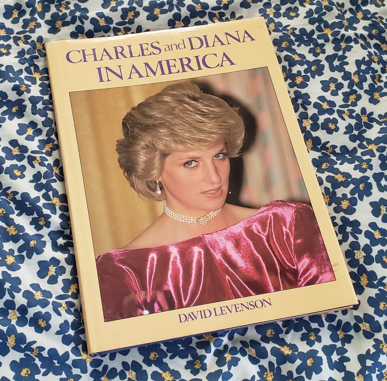 Charles And Diana In America