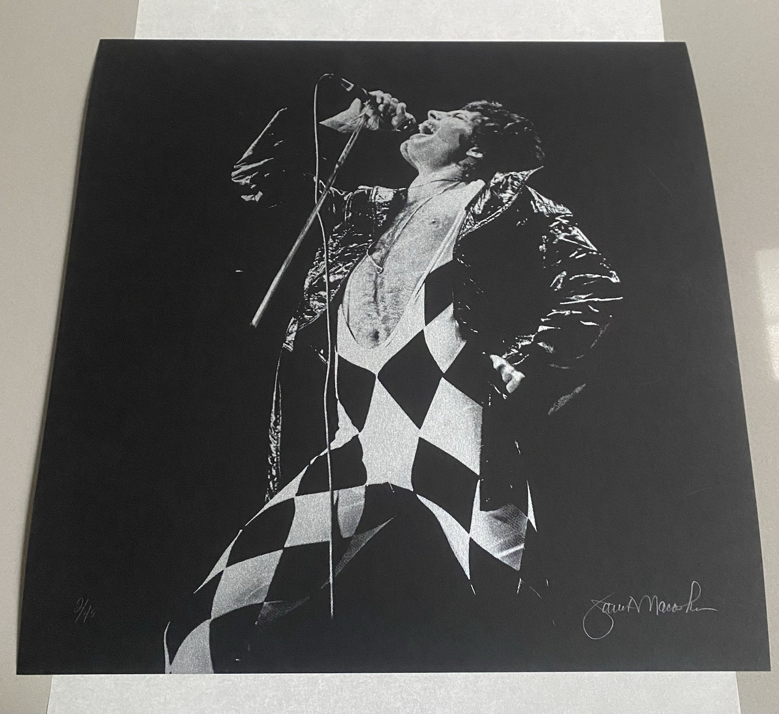 Janet Macoska Freddie Mercury Queen Photograph Signed Limited Edition X/45 Janet Macoska Freddie Mercury Queen Photograph Signed Limited Edition X/45