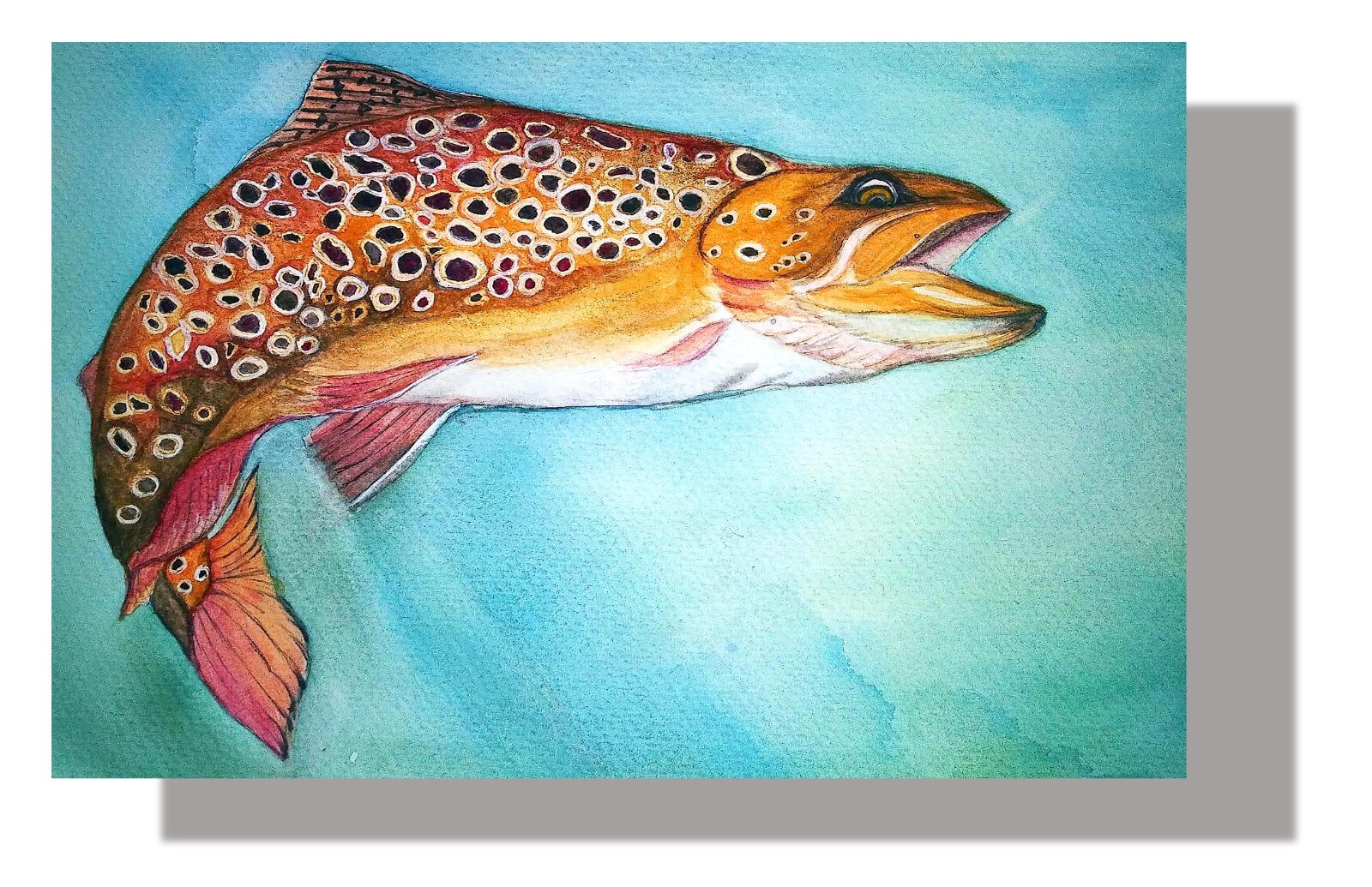 Brown Trout Art Print on Canvas by Kathleen Wendt 11\ Brown Trout Art Print on Canvas by Kathleen Wendt 11\