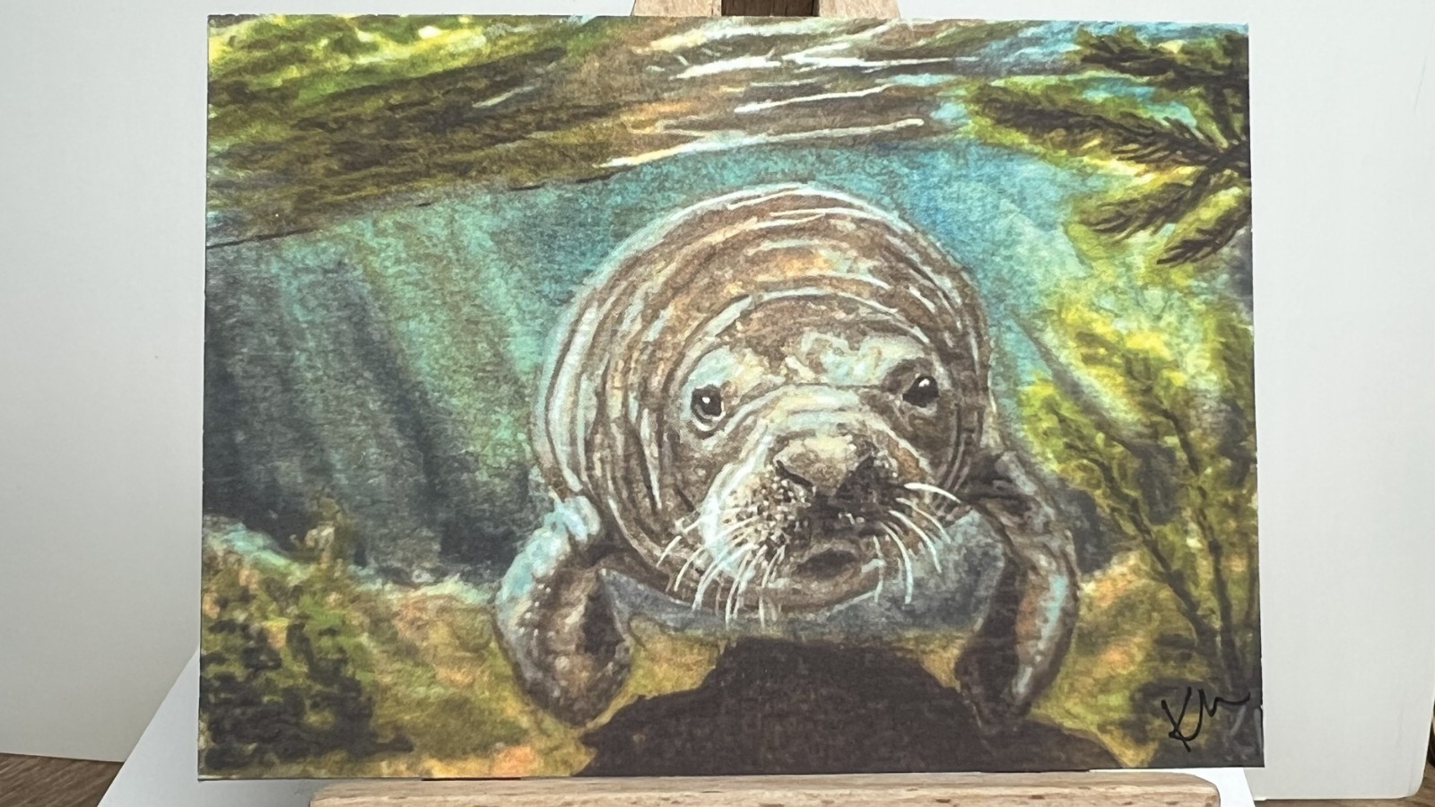 ACEO PRINT Manatee 